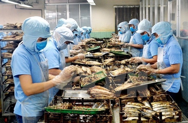 附圖：2018年前兩月越南水產(chǎn)品出口額同比增長(zhǎng)近30%。（圖片來(lái)源：越通社）